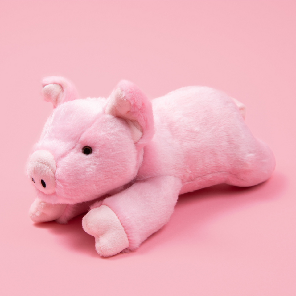 Petey Pig- Medium