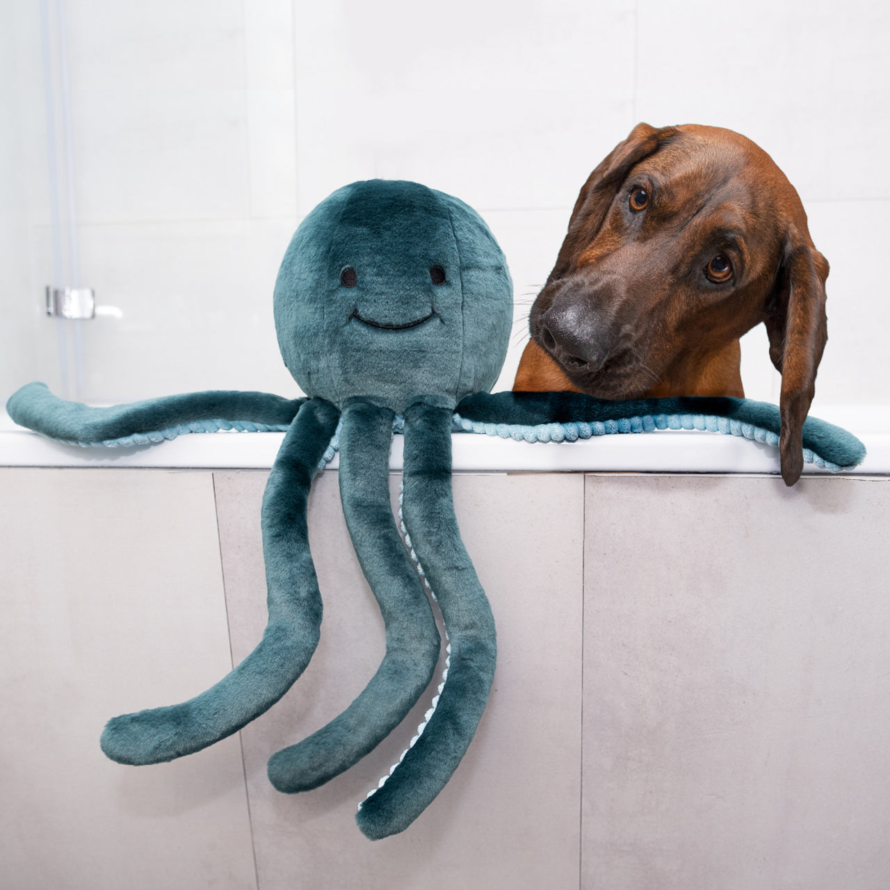 XL Stevie Octopus
