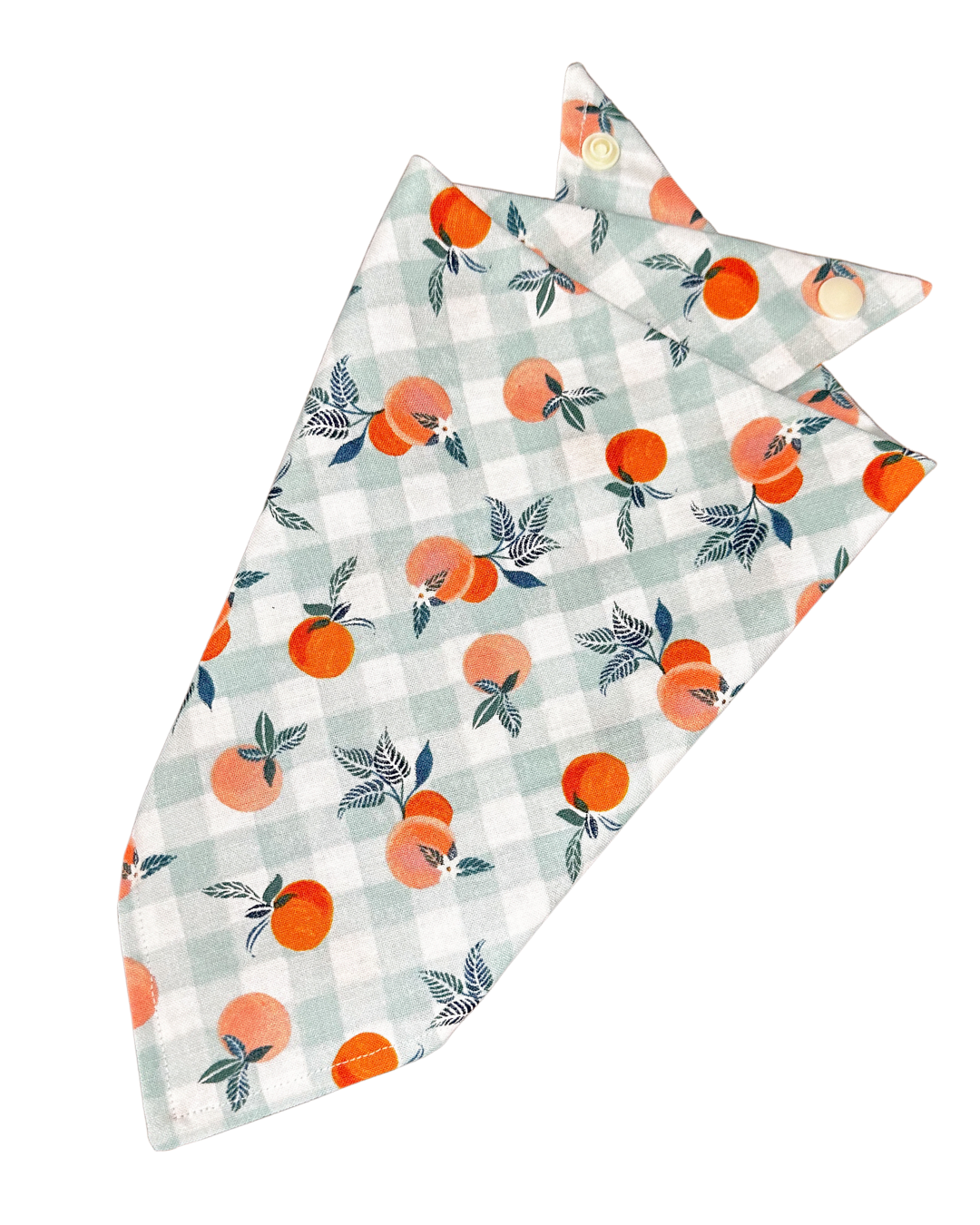 Peachy Mint Bandana