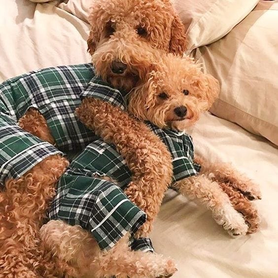 Green Plaid Flannel Pajamas