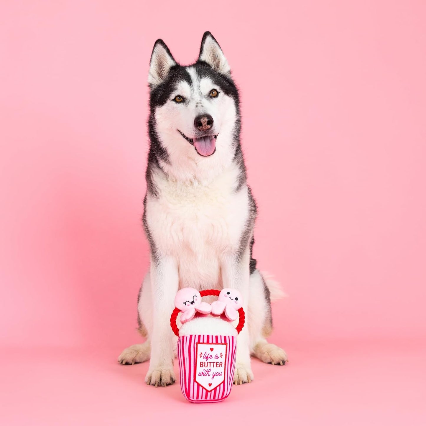 My Heart Pops For You Dog Toy