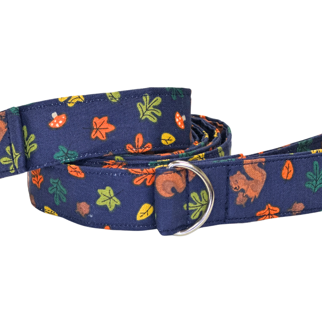 Feeling Squirrely Leash