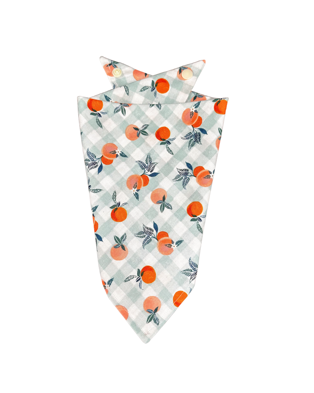 Peachy Mint Bandana