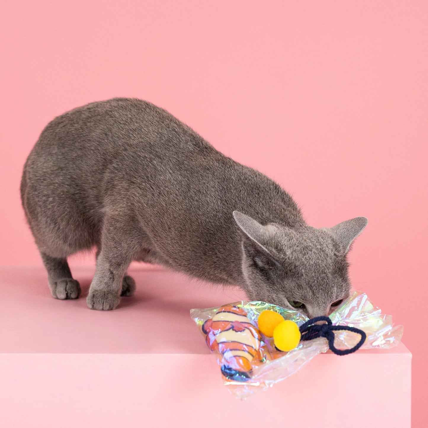 Clownin' Around Cat Toy