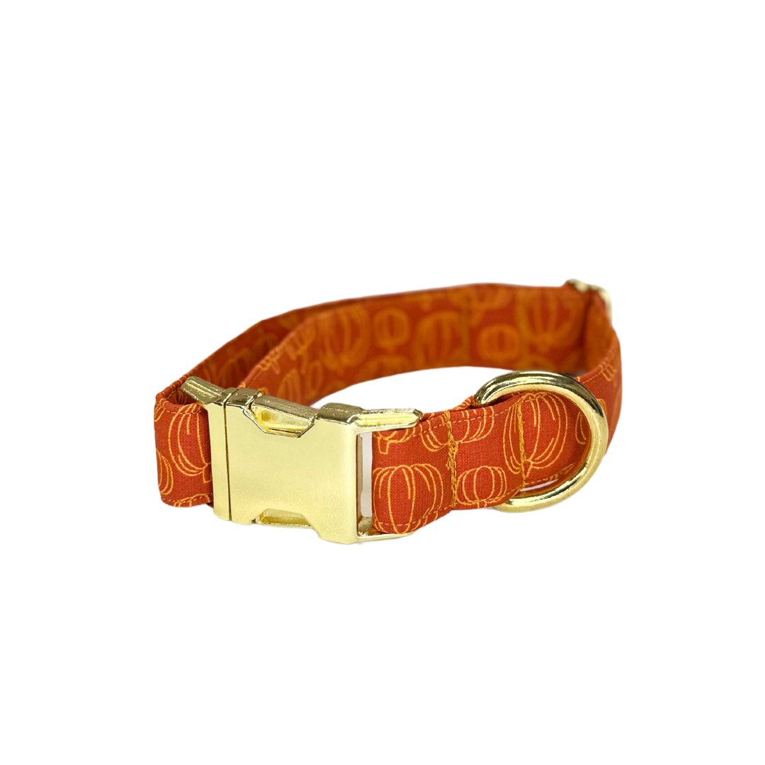 Pumpkin Patch Dog Collar