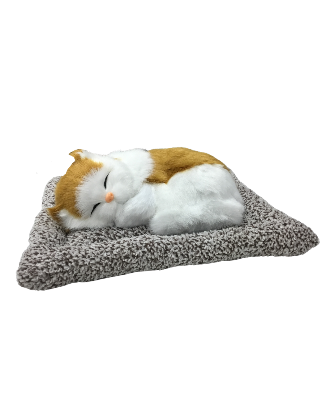 Sleeping Cat Companion