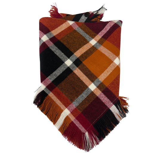 Cider & Spice Bandana