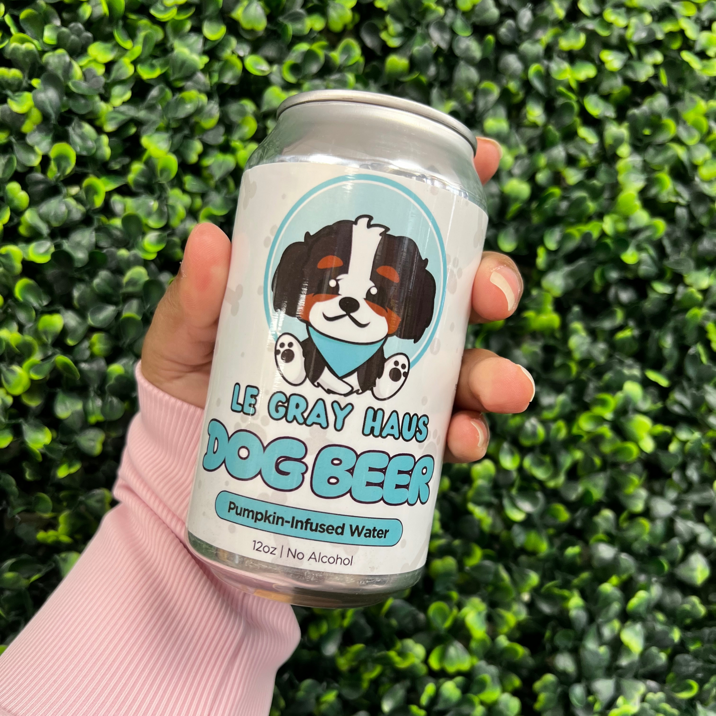 Dog Beer