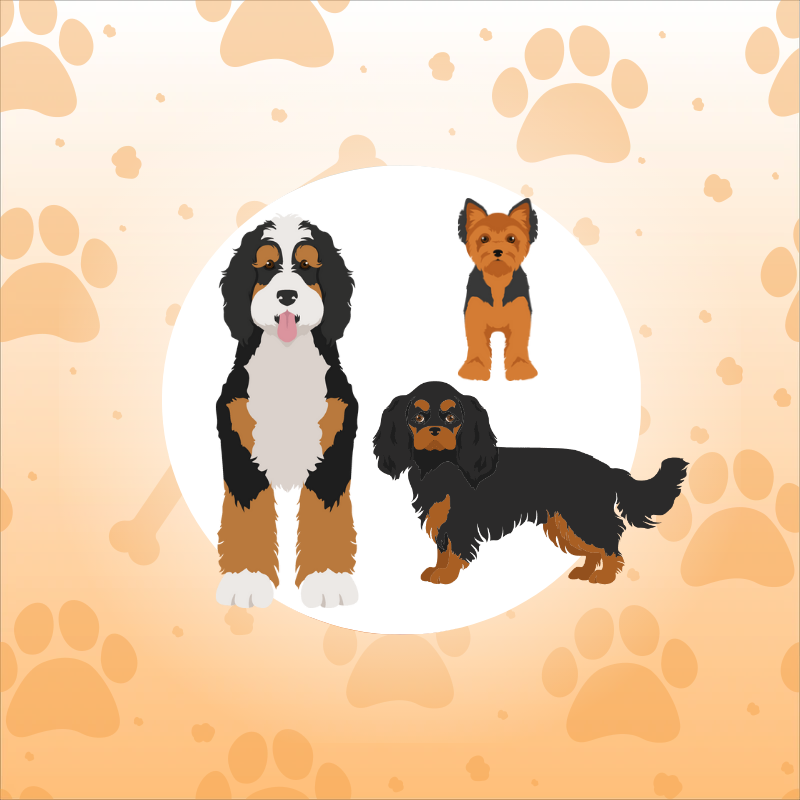 Additional Dog Add-On