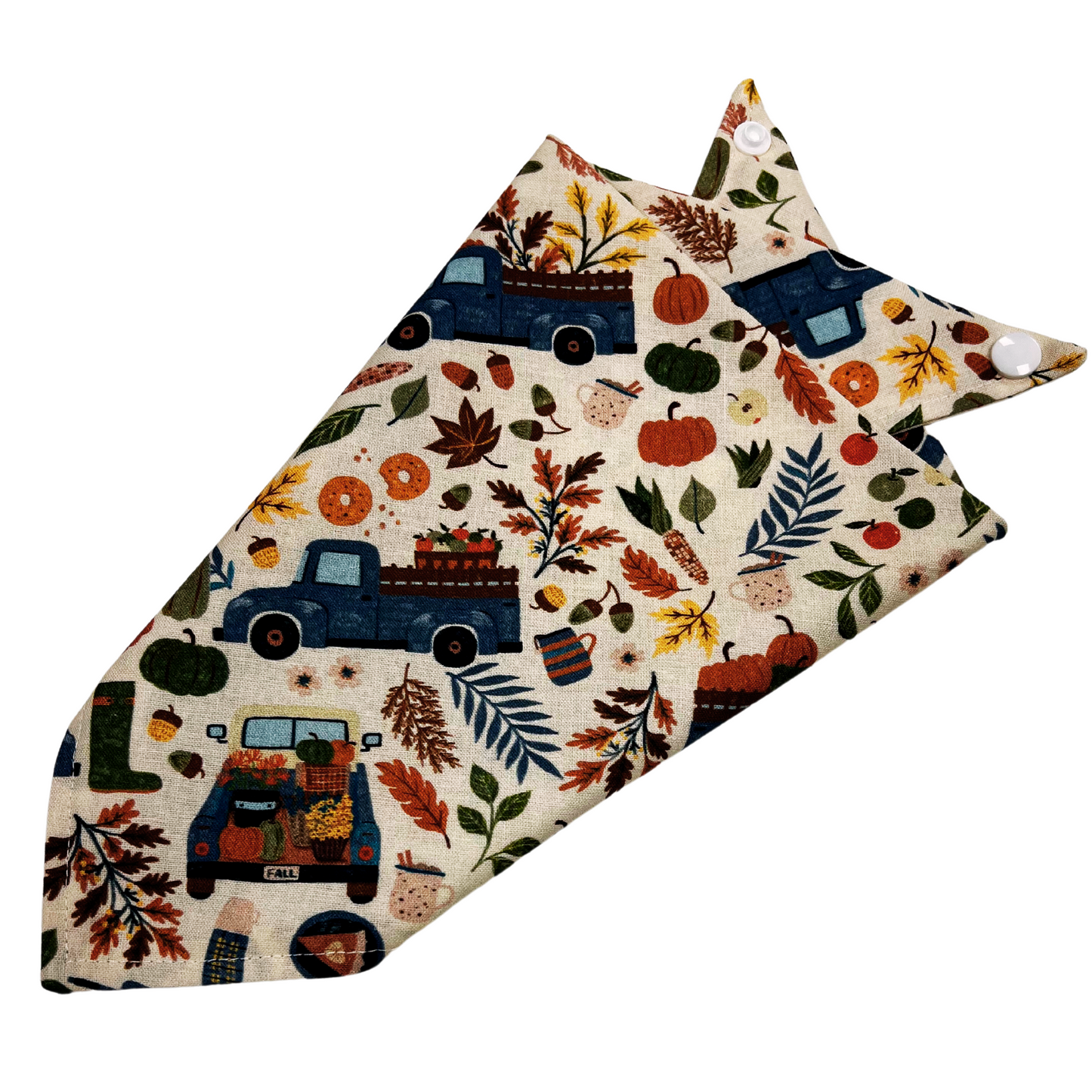 Harvest Time Bandana