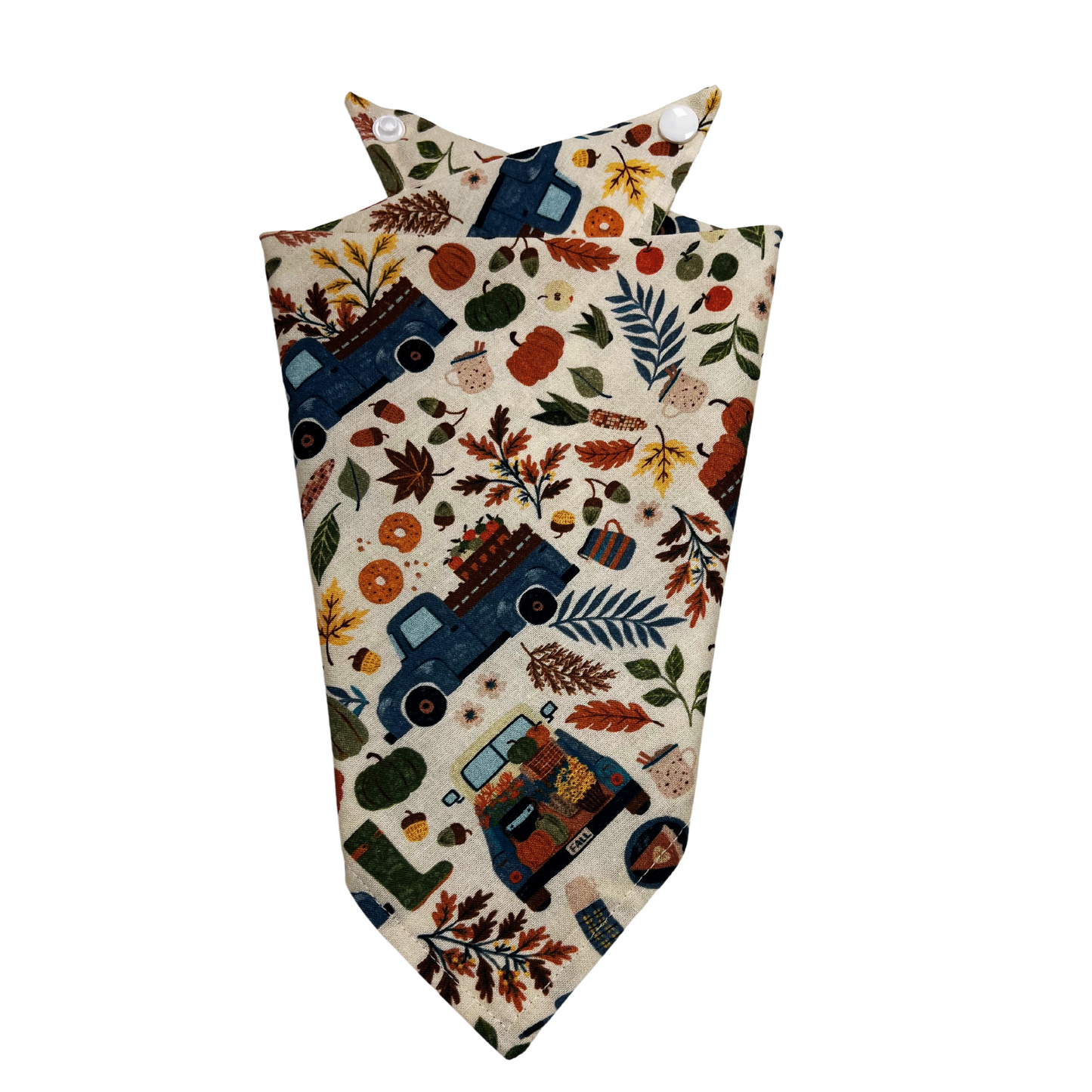 Harvest Time Bandana