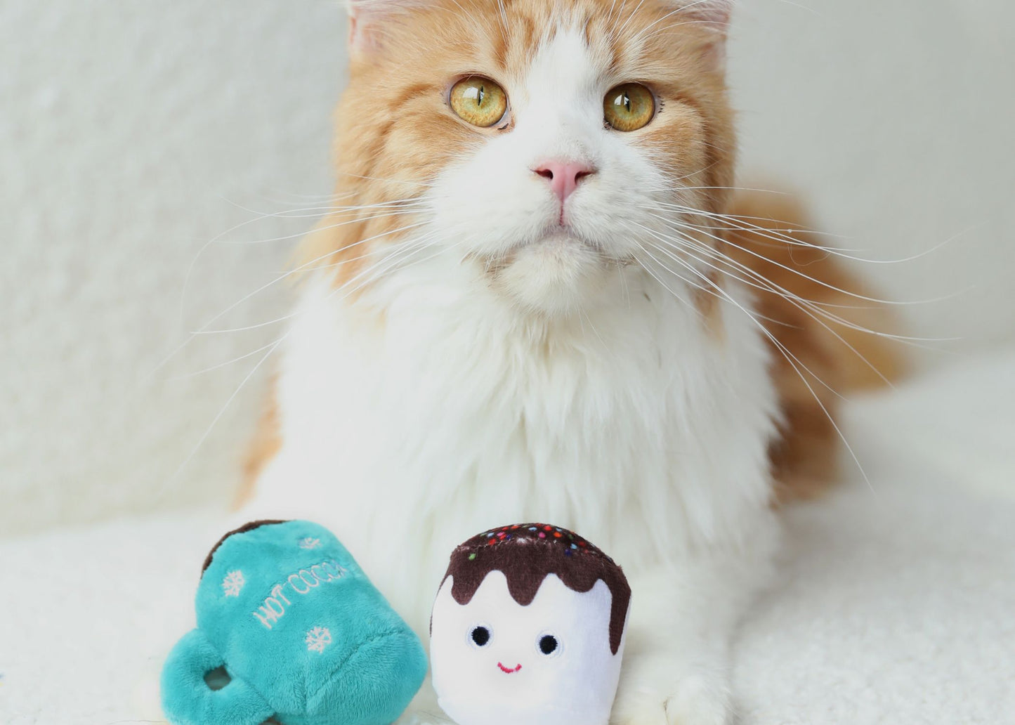 Hot Cocoa with Marshmallow 2pk