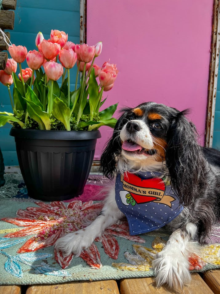 Momma’s Girl/Boy Bandana