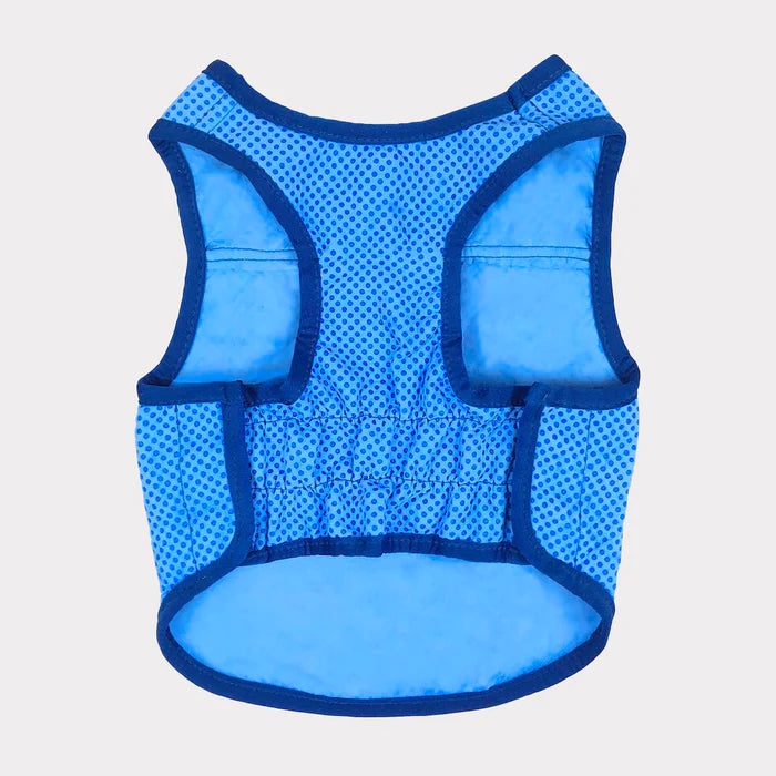Ice Vest