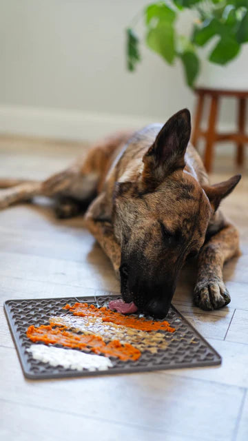 Silicone Lick Mat