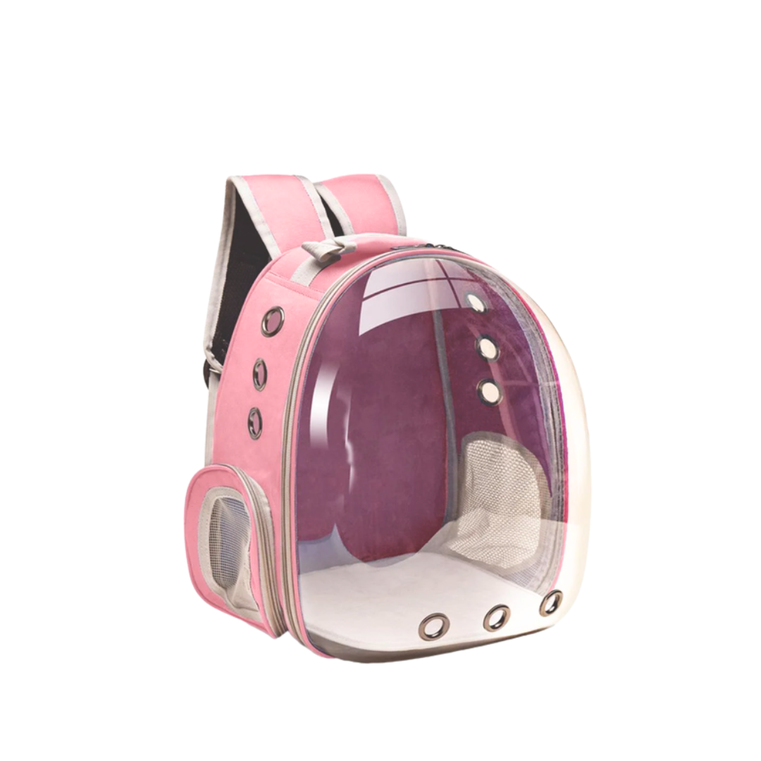 Cat Bookbag Carrier