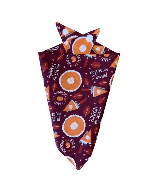 Pumpkin Pie Season Bandana
