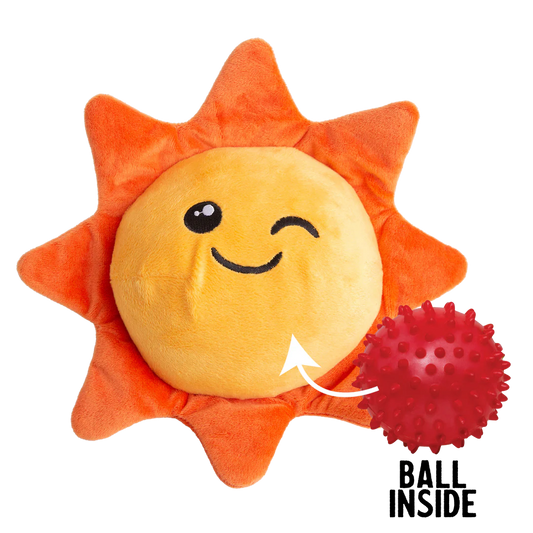 Sweet Sunshine Toy