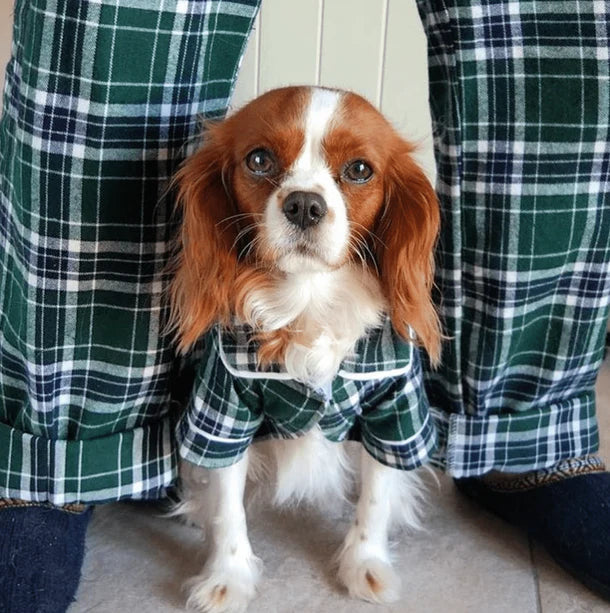 Green Plaid Matching Human Pajama