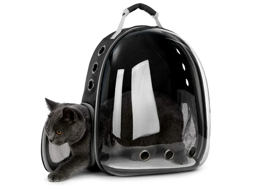 Cat Bookbag Carrier