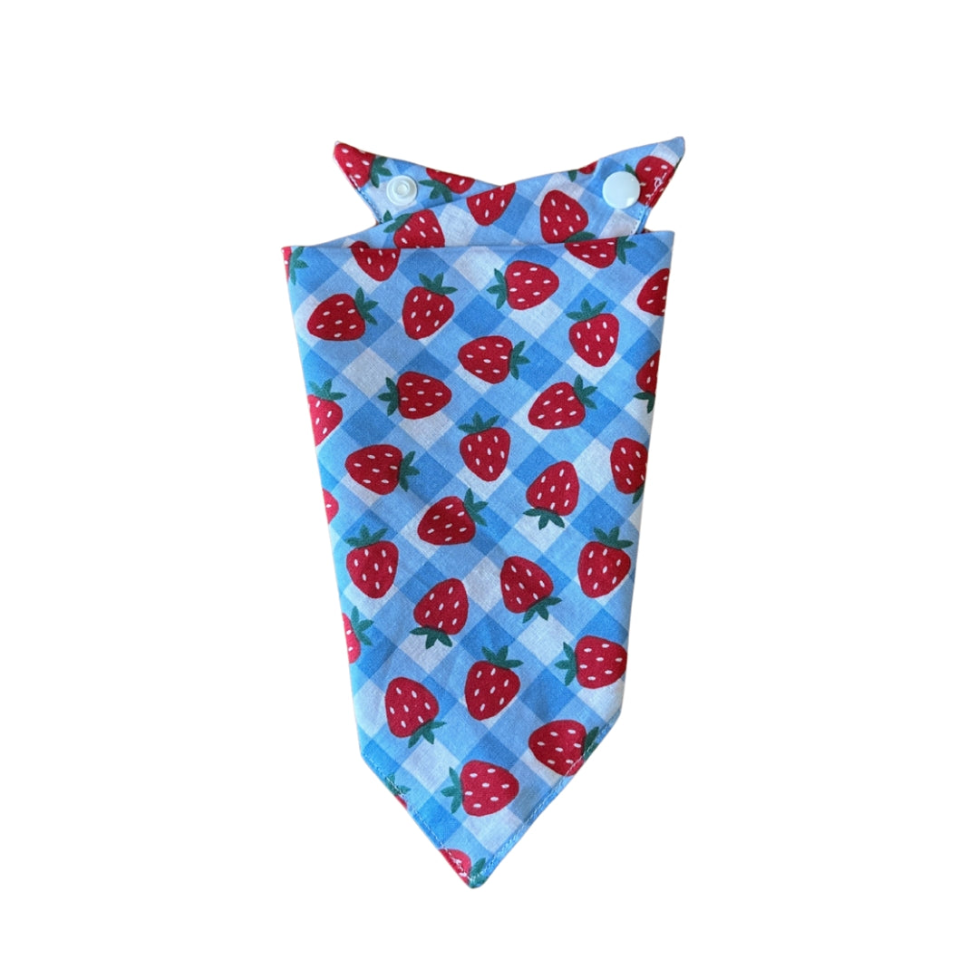 Gingham Berry Bandana