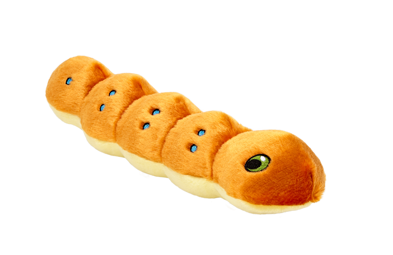 Spicy Caterpillar - Small