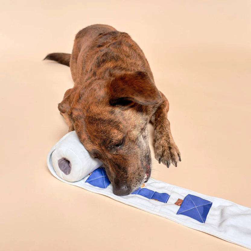 Toilet Paper Nose work Toy