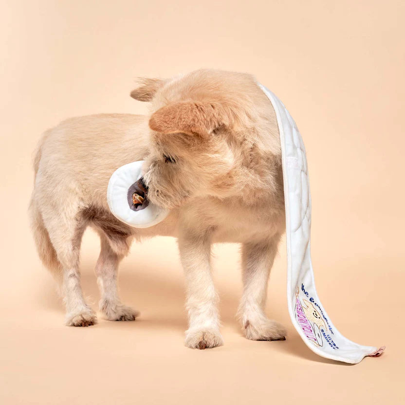 Toilet Paper Nose work Toy