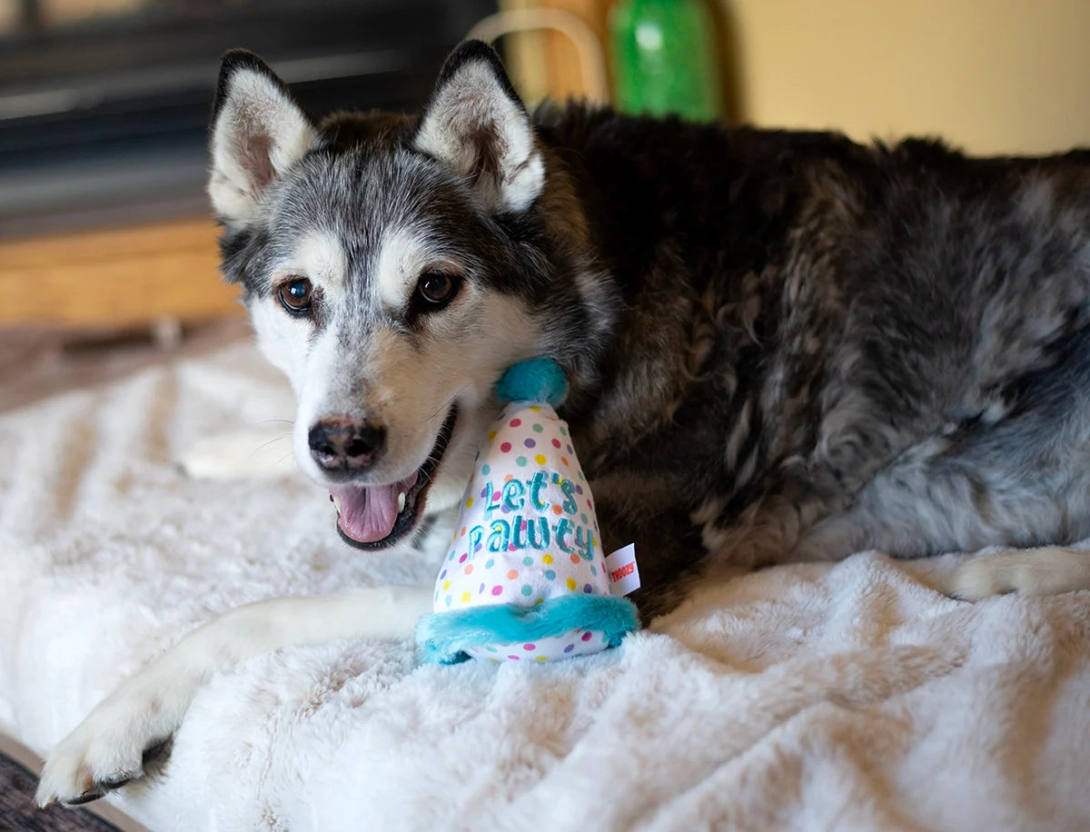 Pawty Hat Blue