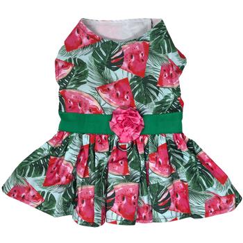 Juicy Watermelon Dog Dress w/ Matching Leash