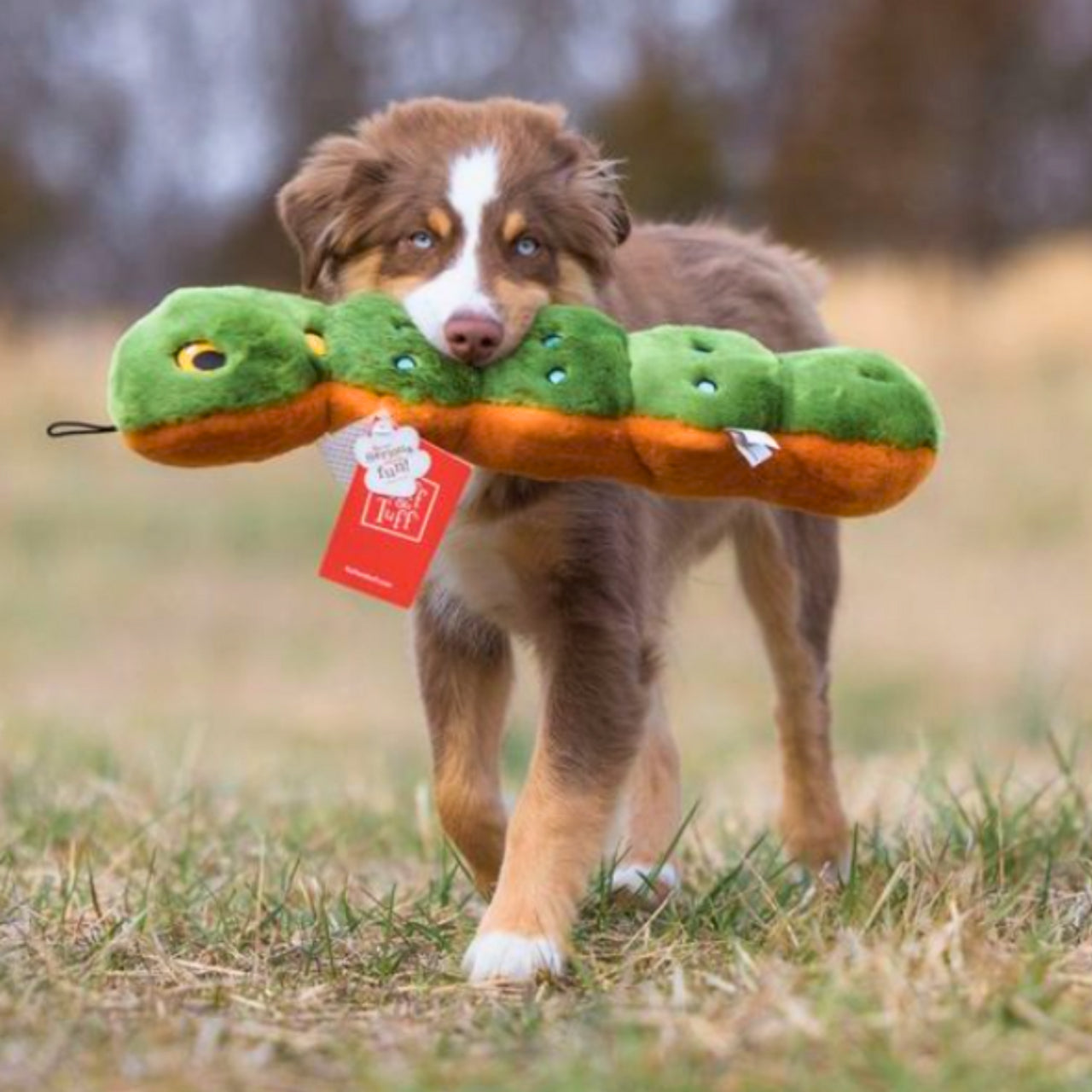 Katie Caterpillar - Large