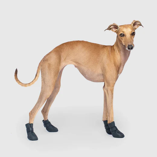 Unlined Wellies Dog Boots