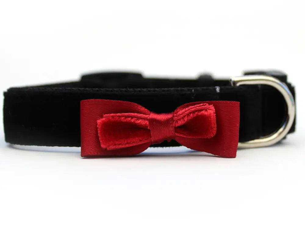 Velvet Cat Collar