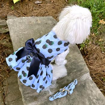 Blackberries Dog Dress with Matching Leash