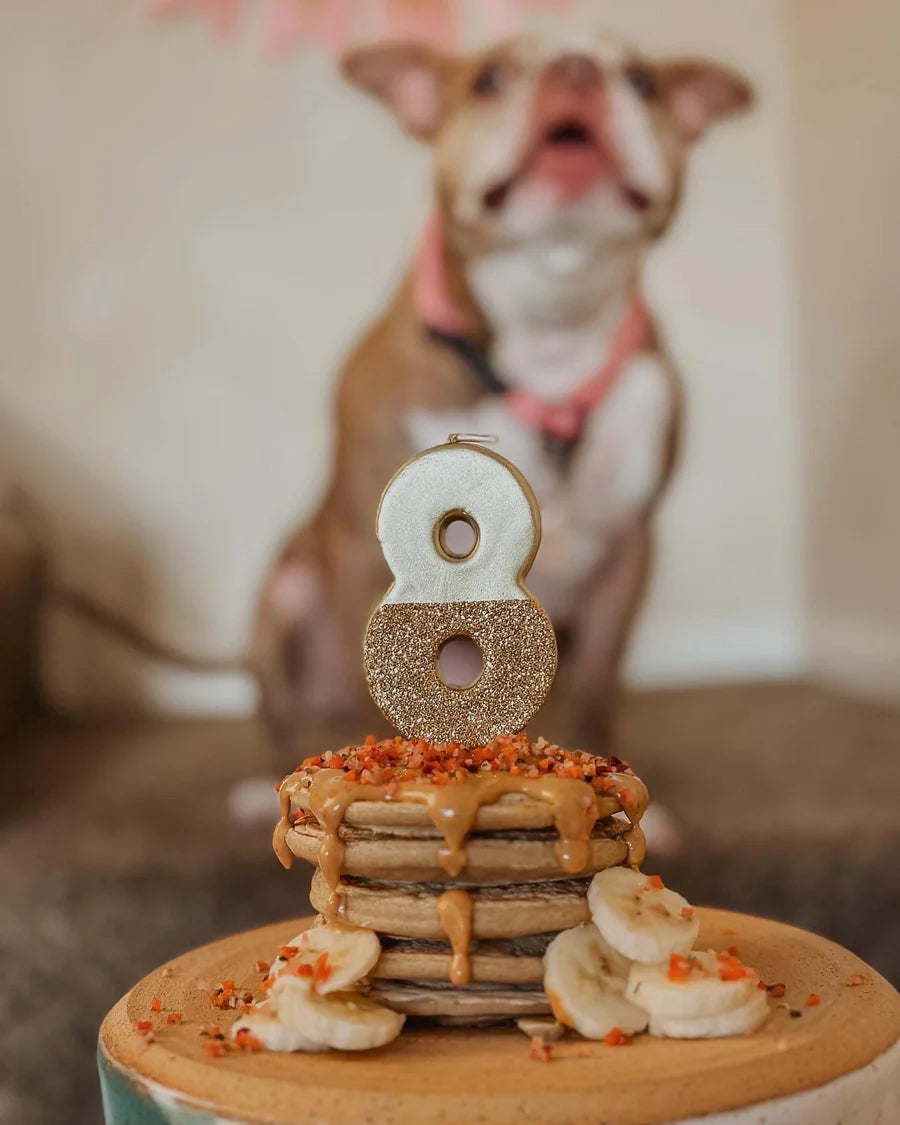 Pooch Pancakes Barking Banana
