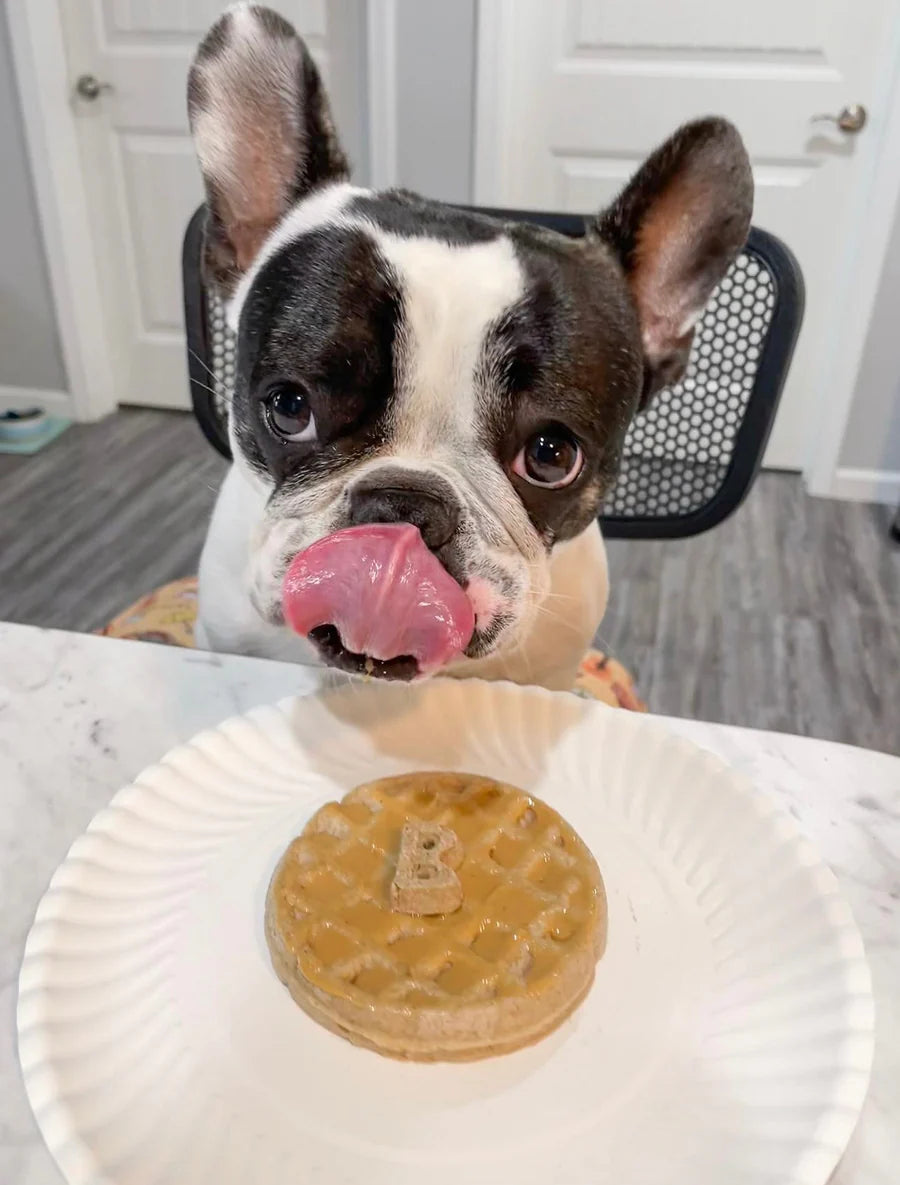 Pooch Pancakes Barking Banana