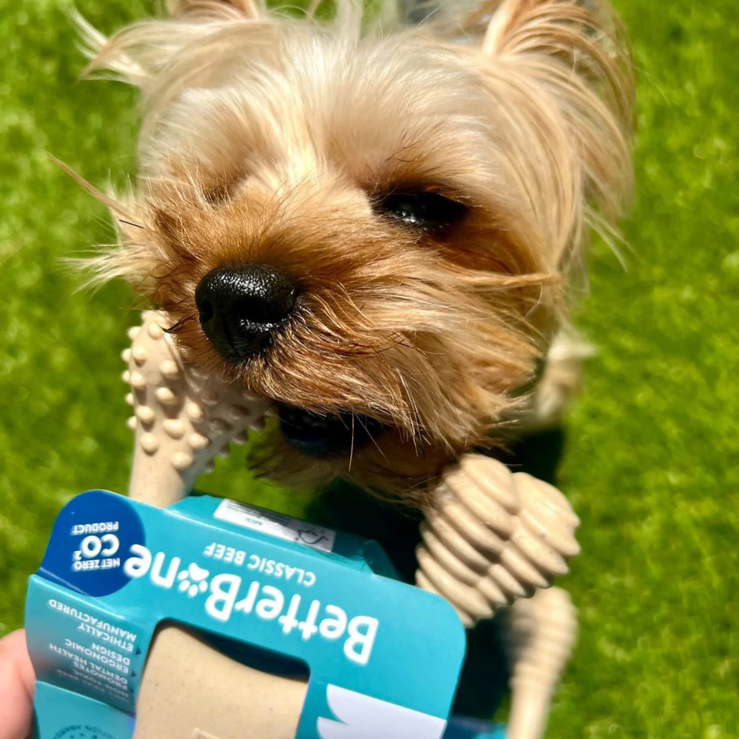 Better Bone - Soft Chewer