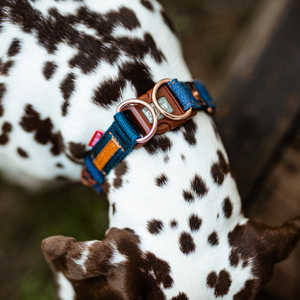 Denim Double Up Collar