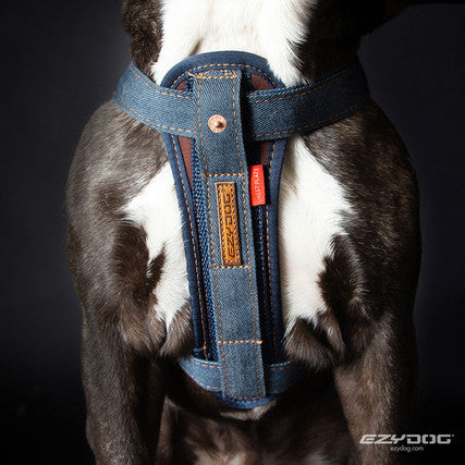 Denim Chest Plate Harness