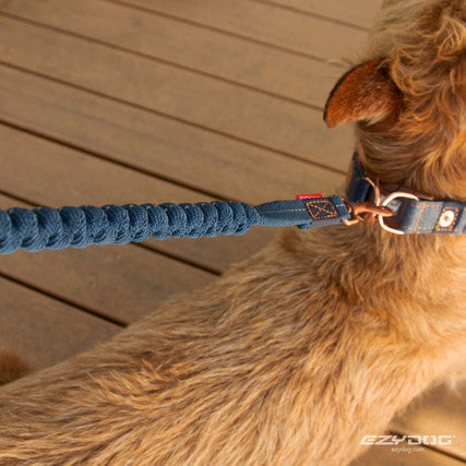 72 in. Zero Shock Lite Leash