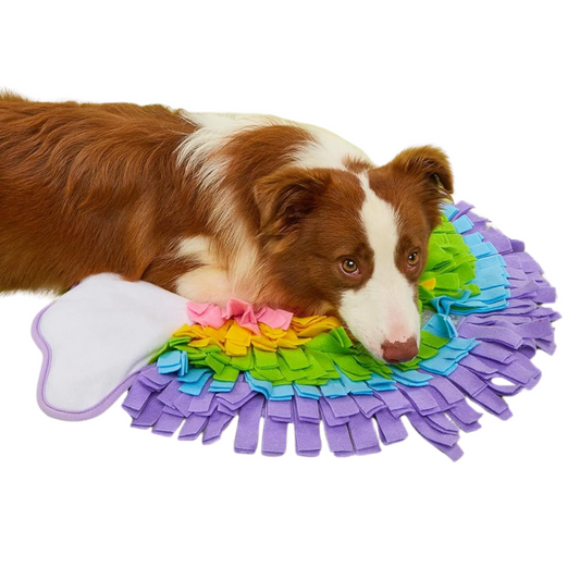 Rainbow Snuffle Mat