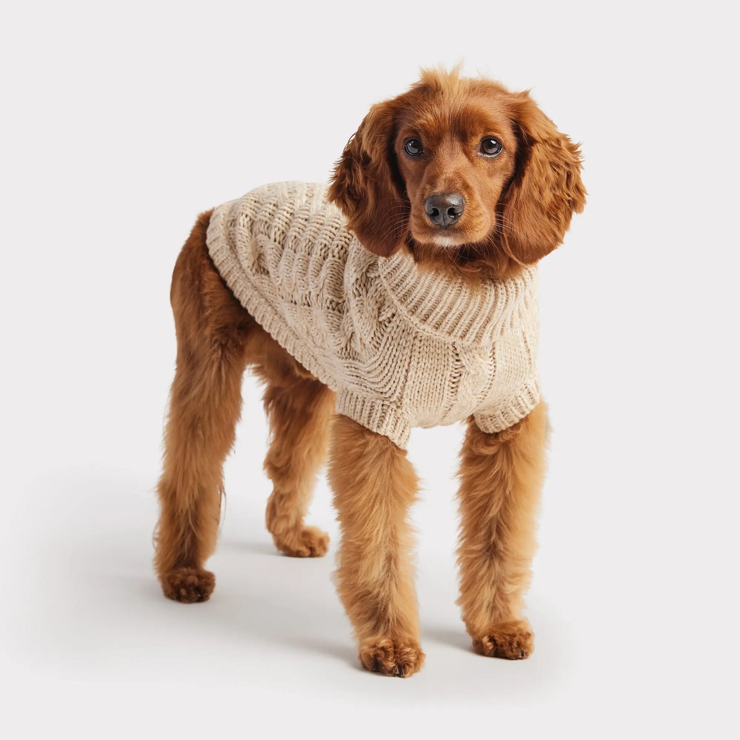 GF PET Sweater