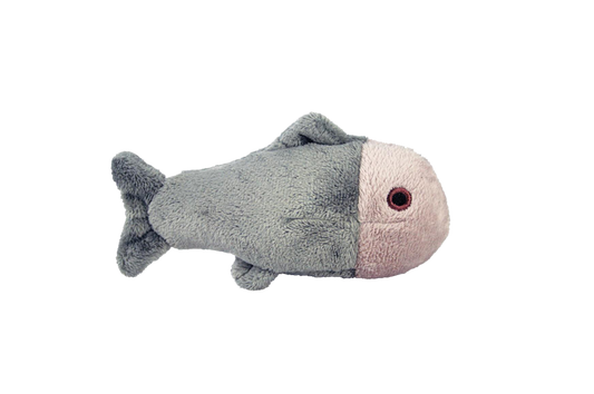 Guppy Fish - Extra Small