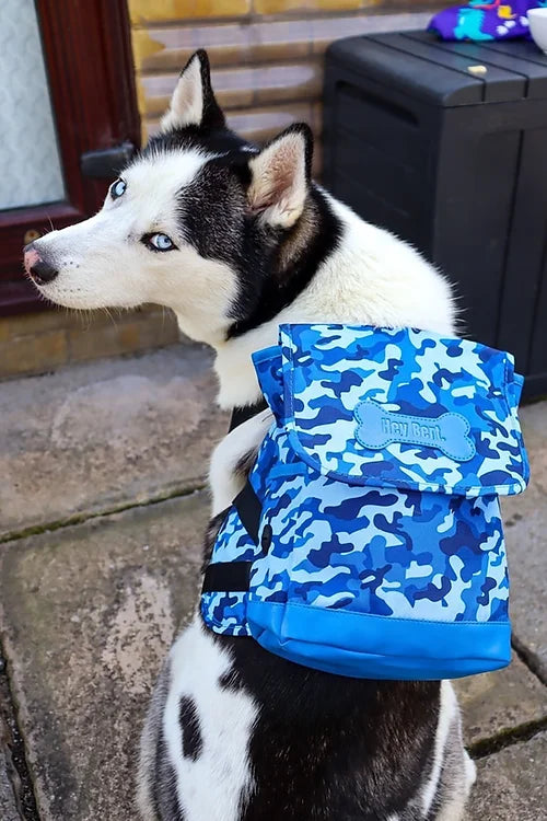 Dog Backpack - Blue camouflage