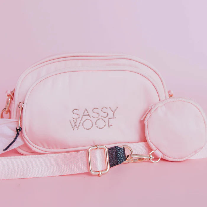 Dog Walking Bag