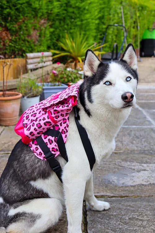Dog Backpack - Poochie PInk
