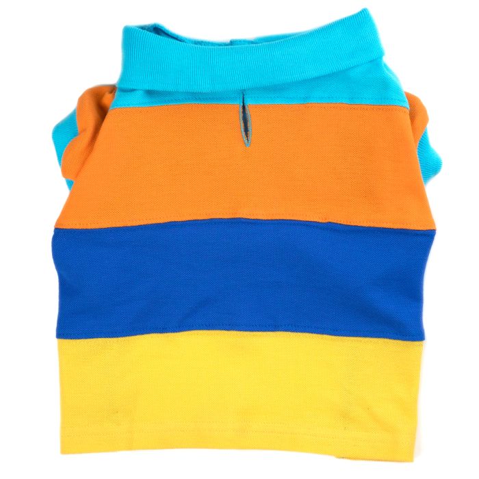 Colorblock Polo