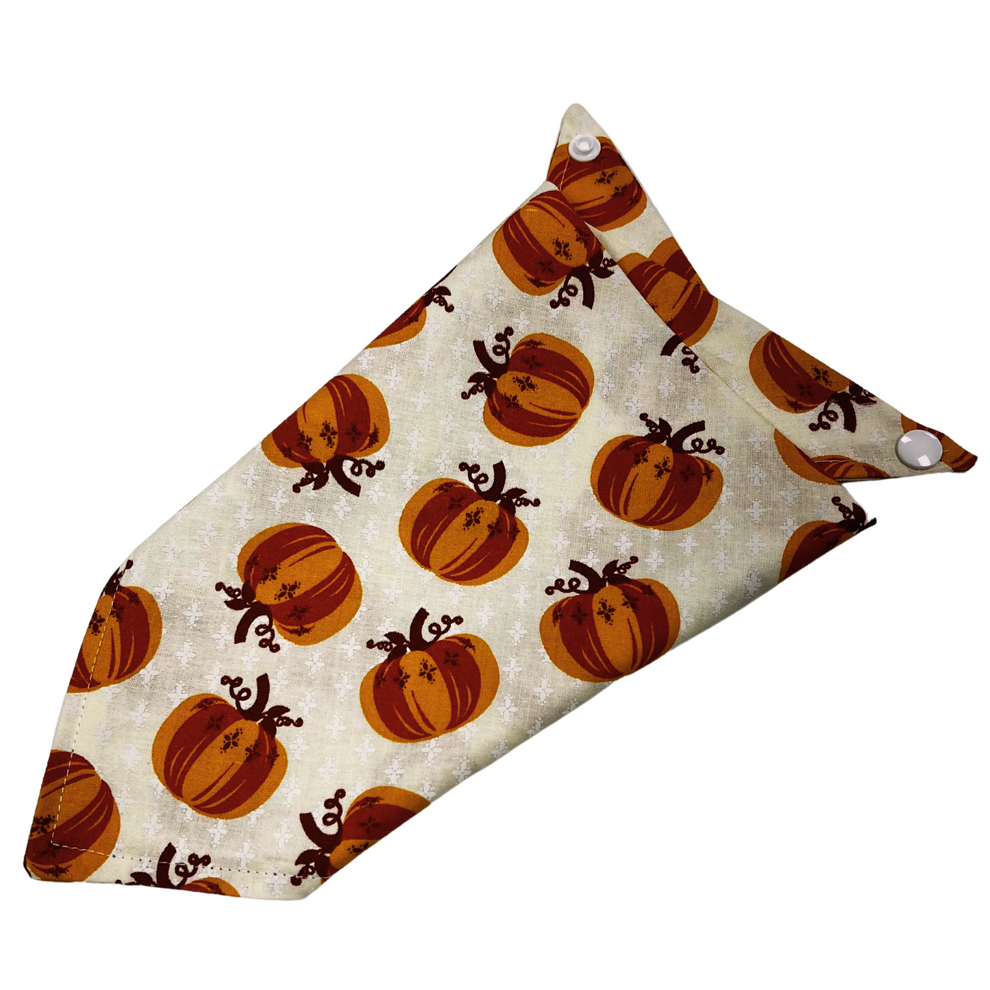 Pumpkin Patch Bandana