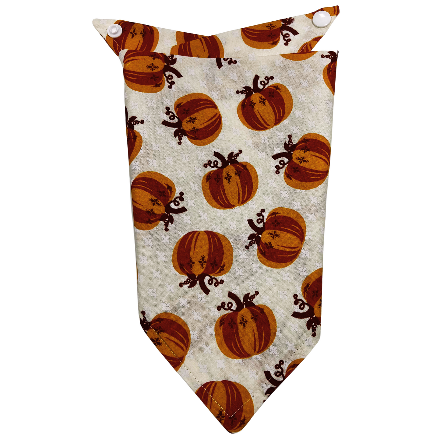 Pumpkin Patch Bandana