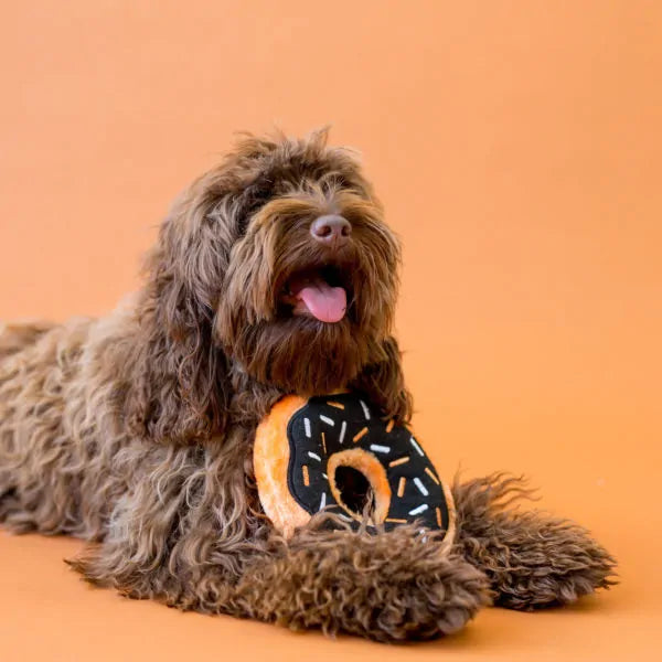 Pumpkin Spice Donutz